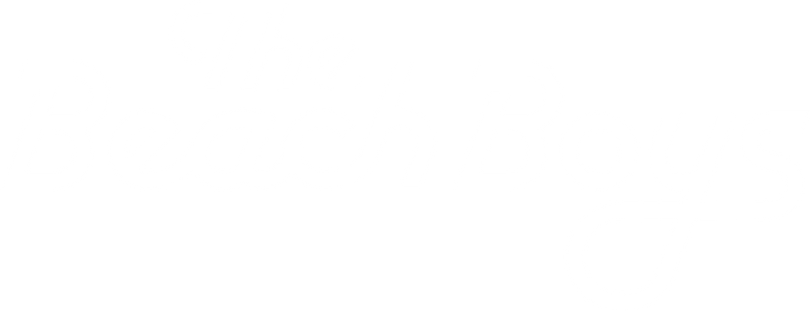 The Beach Boys UK